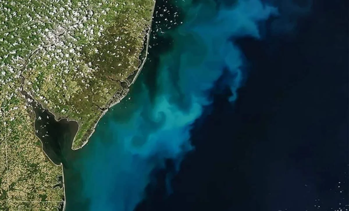 Giant East Coast Algal Bloom Visible From Space, NASA Reports
