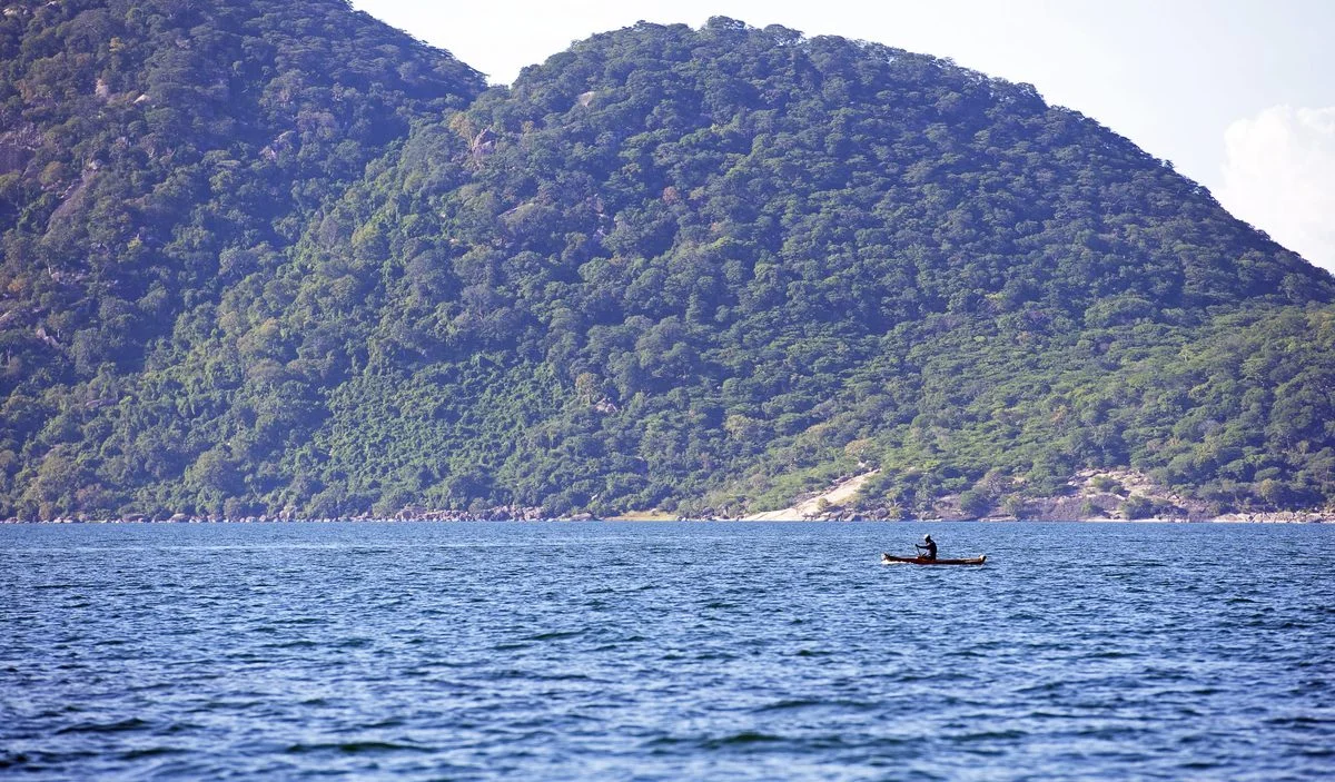 Lake Malawi larvae reveal insects may venture into the open ocean