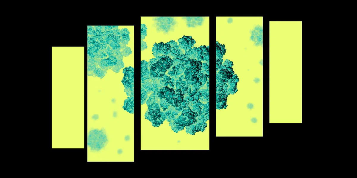 Summer Norovirus Rise: How to Stay Safe at Gatherings