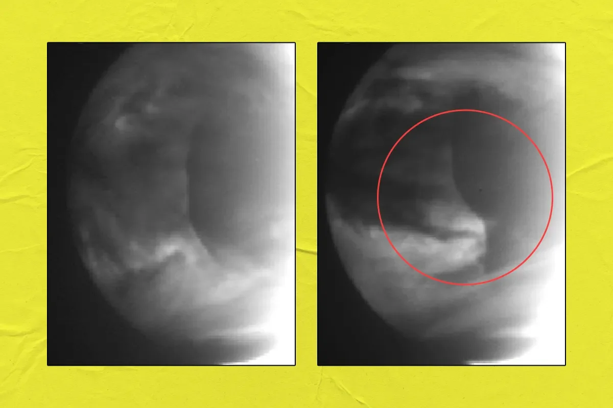 Venus Clouds Harbor the Solar System's Biggest Hydraulic Jump