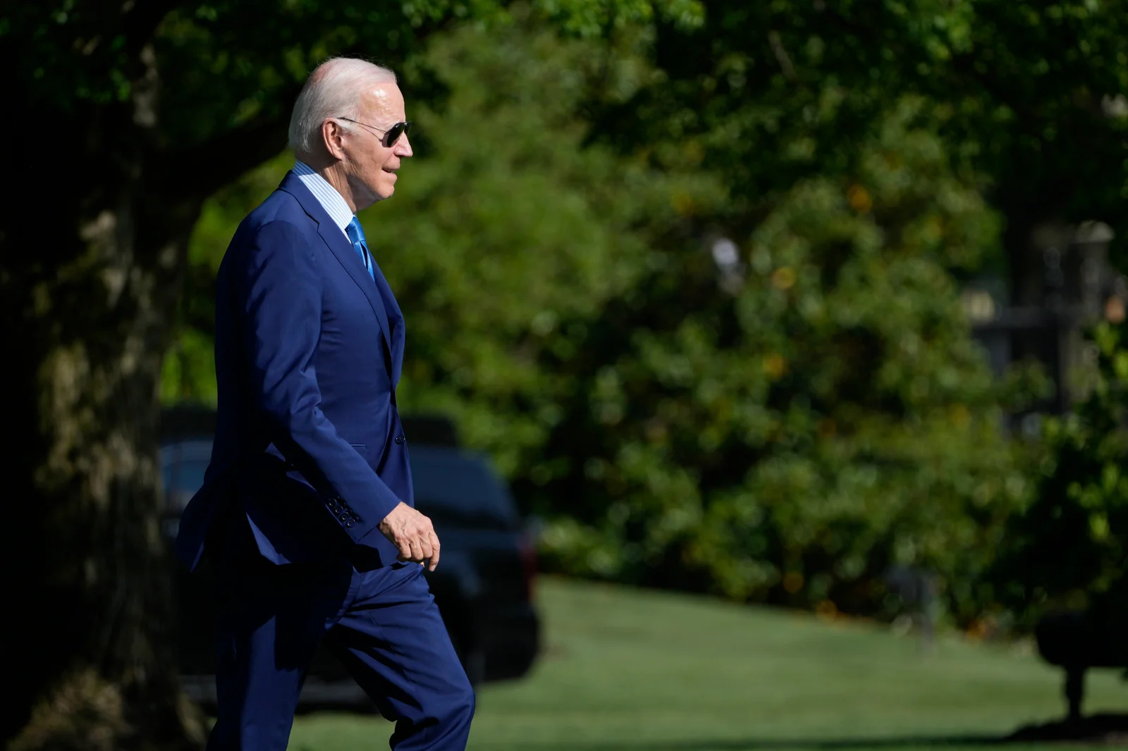 The Timing and Challenges of Biden's Potential Reelection Campaign