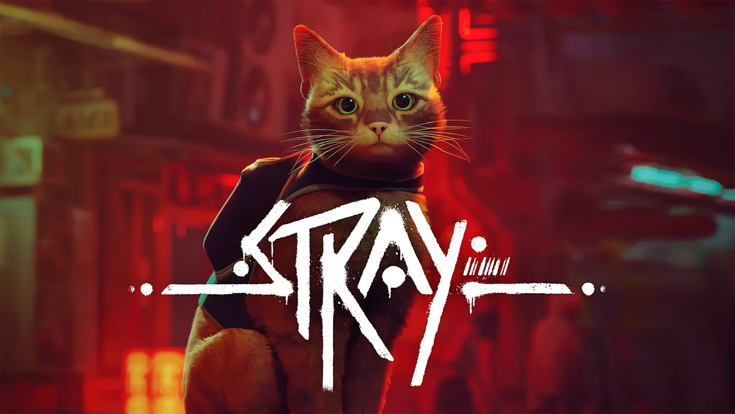 Annapurna's Stray, To a T, Wanderstop head to Switch 2 with 4K upgrades