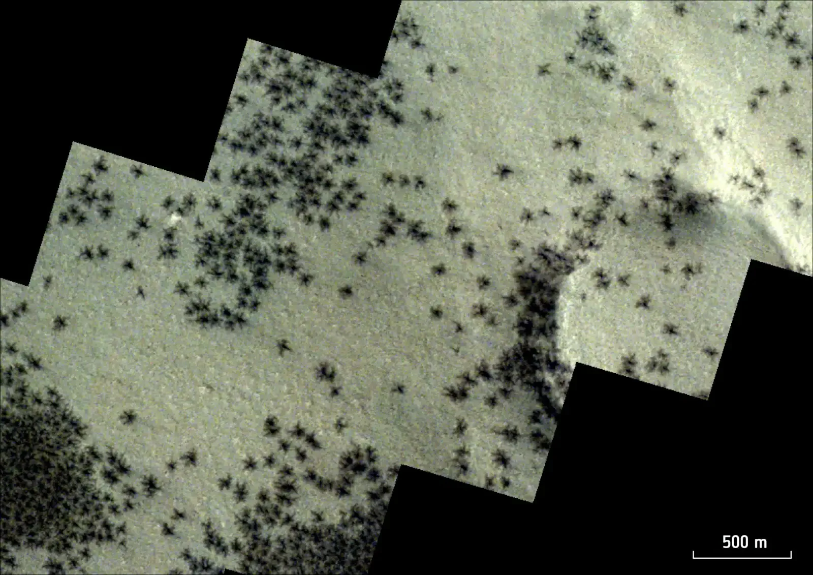 Mars spiders finally revealed: CO2 ice and soil pores sculpt the Martian araneiform terrain