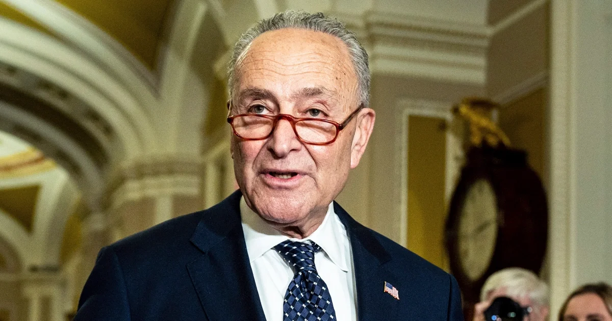 Schumer and Musk discuss AI.