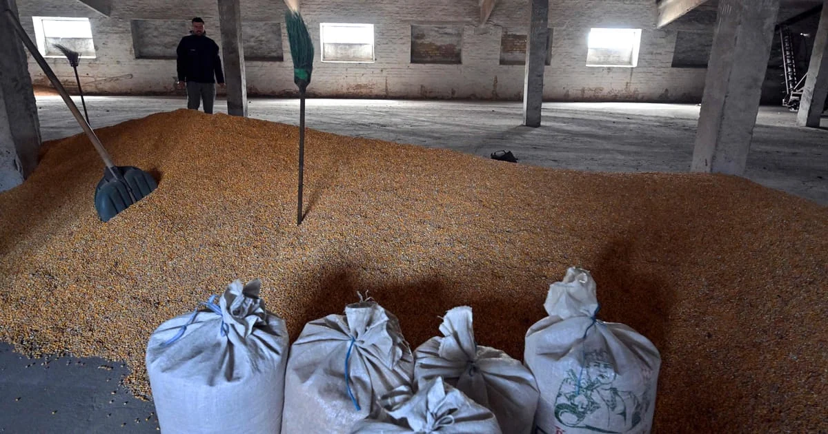 EU's Support for Ukraine's Grain Industry Faces Challenges from Farmers and Greece.