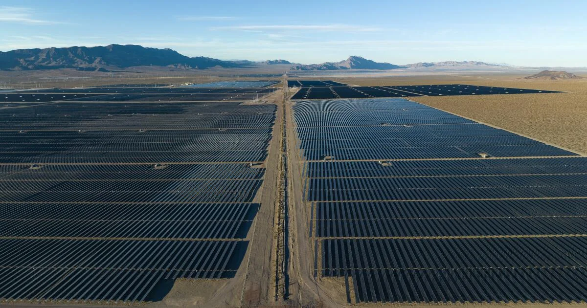 "Collaboration or Confrontation? Solar Companies and Environmentalists Seek Common Ground"
