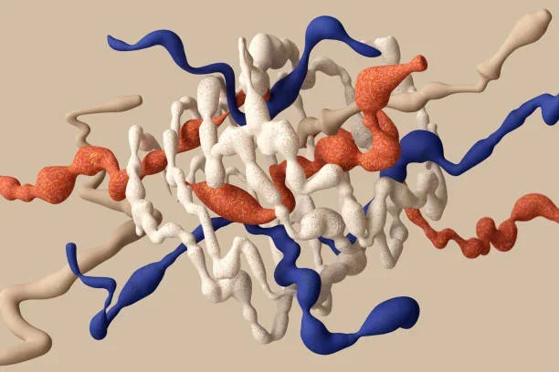 Autism drug discovery could hinge on protein interaction maps