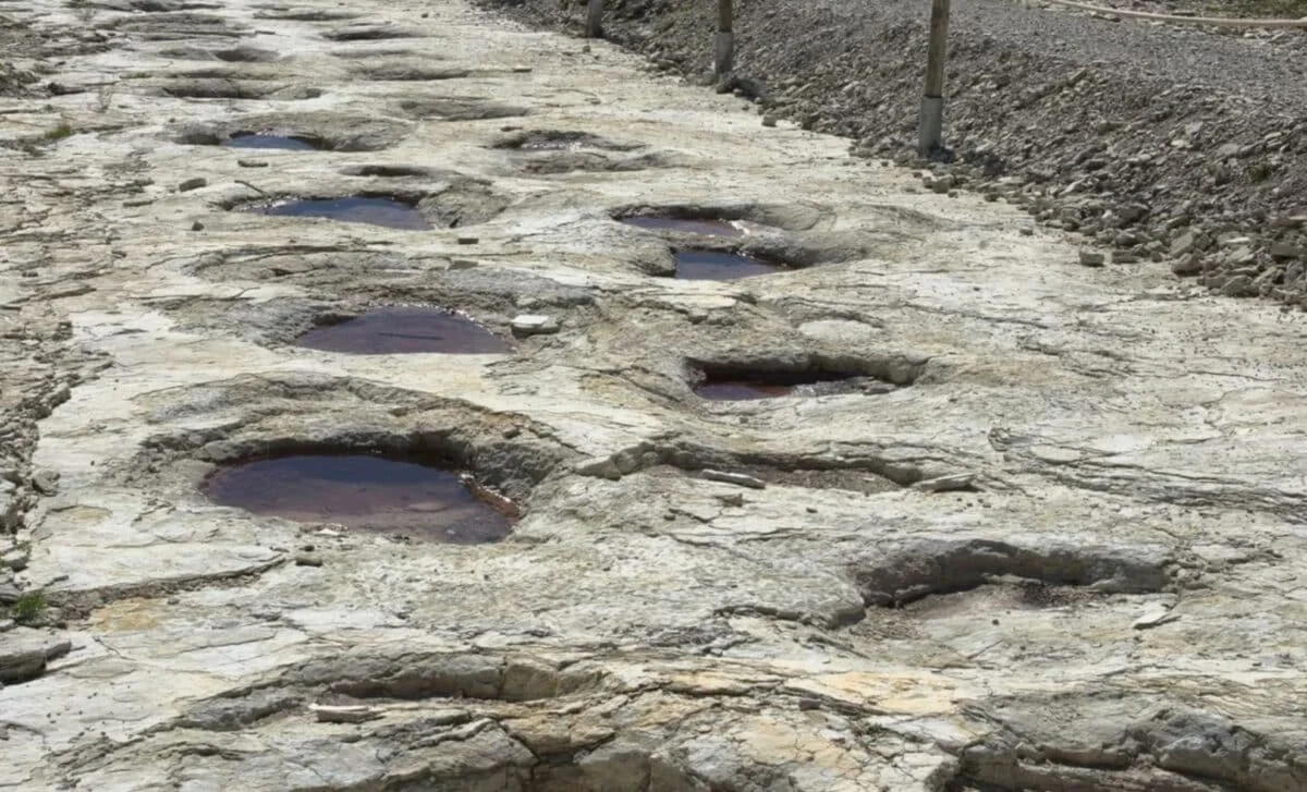 France Unveils 155-Meter Sauropod Footprint Trail in Jura Rock, the Longest Yet Found