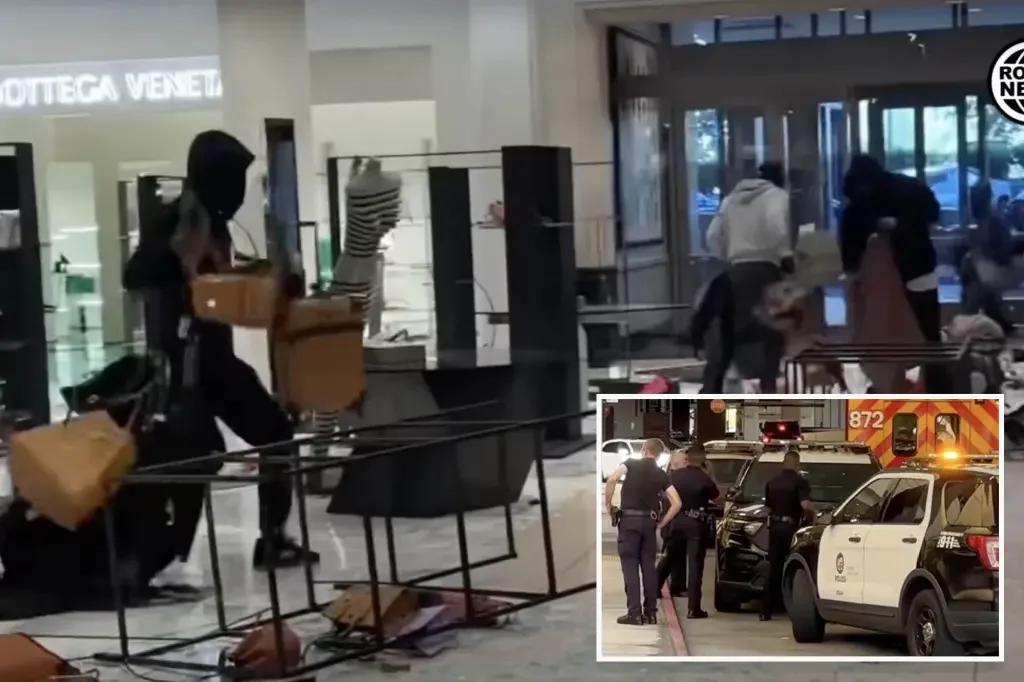 "Brazen Daylight Robbery: Mob of 50 Loots $100,000 Worth of Merchandise from LA Nordstrom"