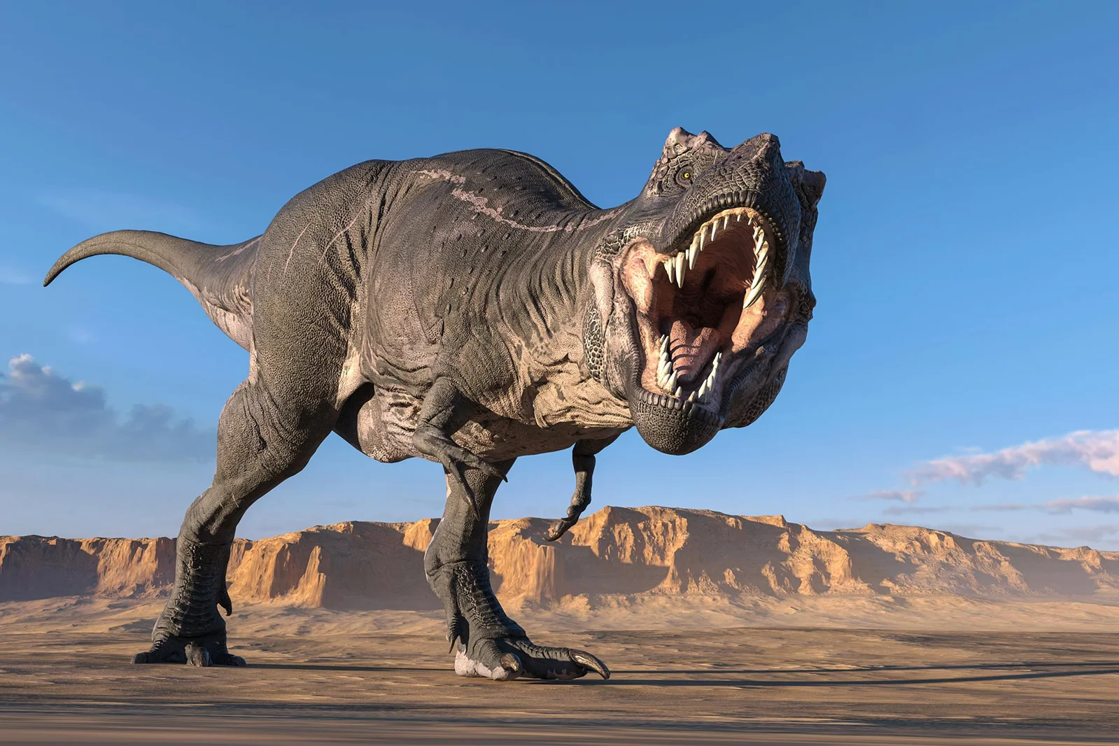 Big Skull, Tiny Arms: Why Rex and Other Giants Dropped Their Forelimbs