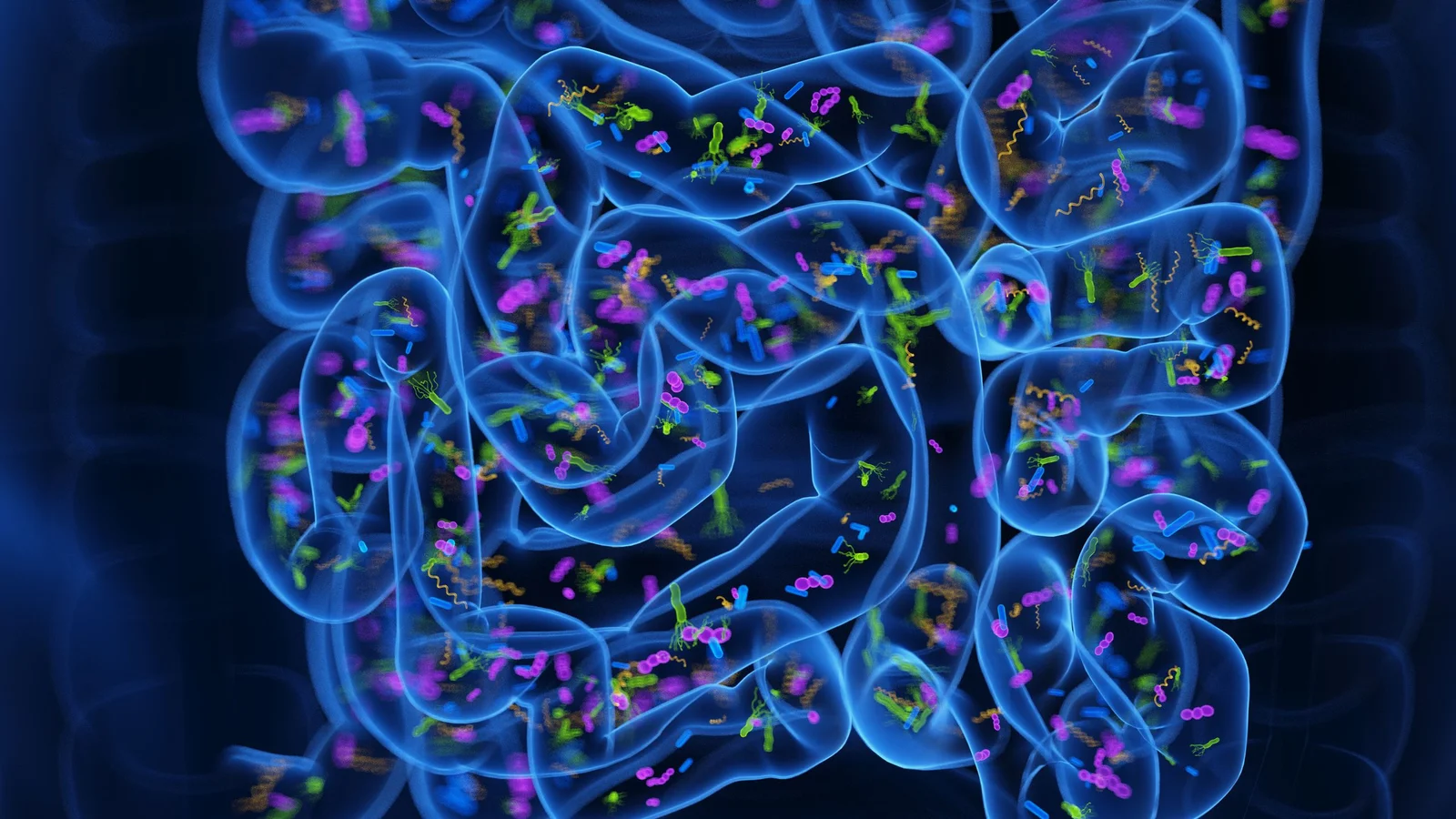 Gut bacteria transplant pills show early sleep gains in insomnia study