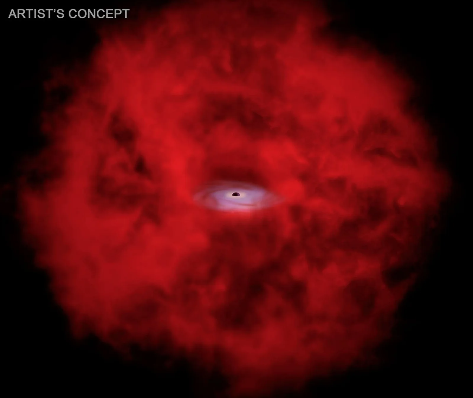 Chandra's X-ray Dot Reveals Clues About Early Universe Black Hole Growth