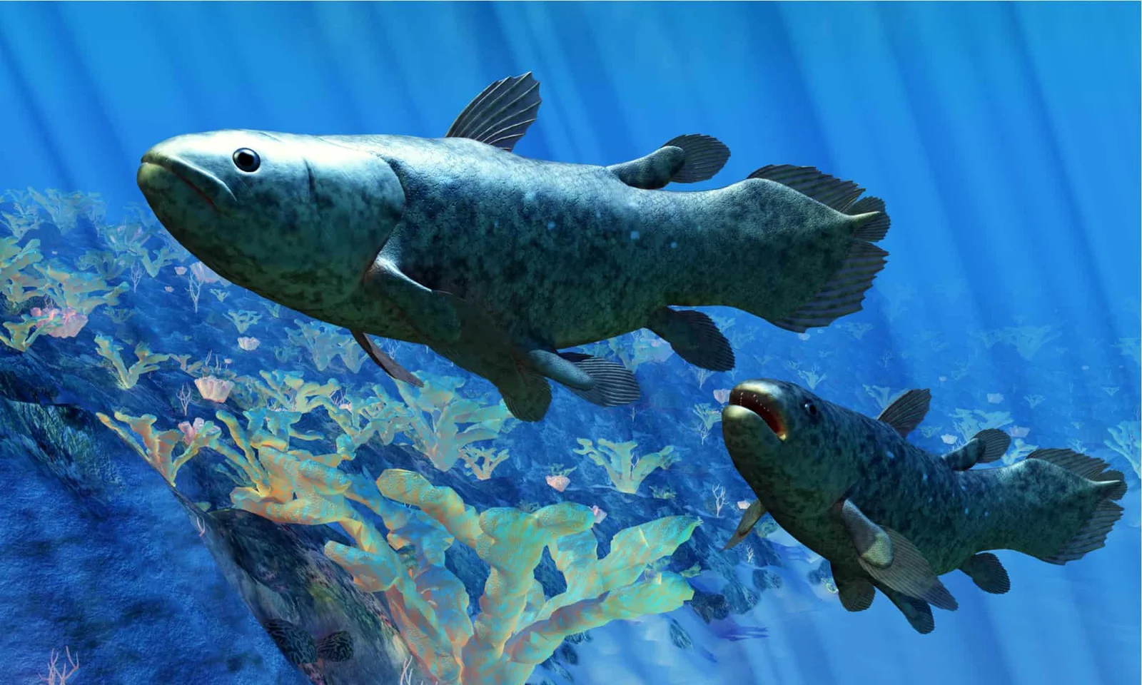A Living Fossil's Shocking Return: Coelacanth Rewrites Extinction Story