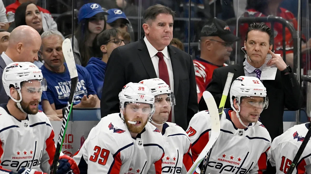 Peter Laviolette appointed head coach of Rangers.