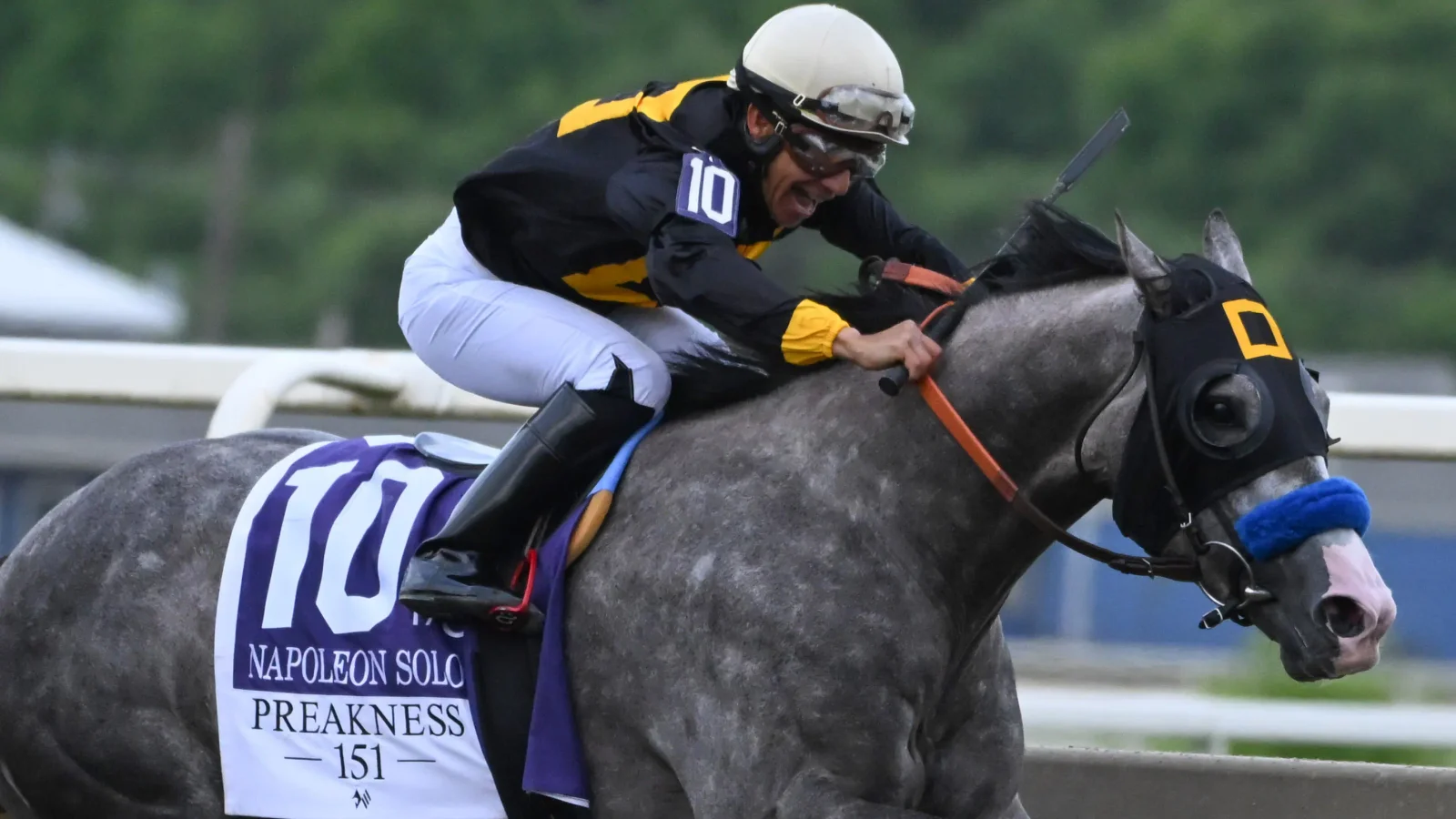 Preakness Excluded From Inaugural Thoroughbred Championship Series