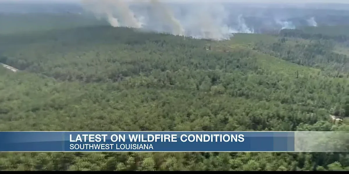 "Tiger Island Wildfire: Louisiana's Largest in History?"