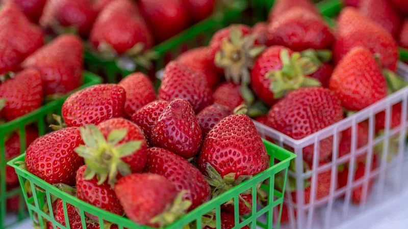 Strawberry prices could rise as import tariffs loom
