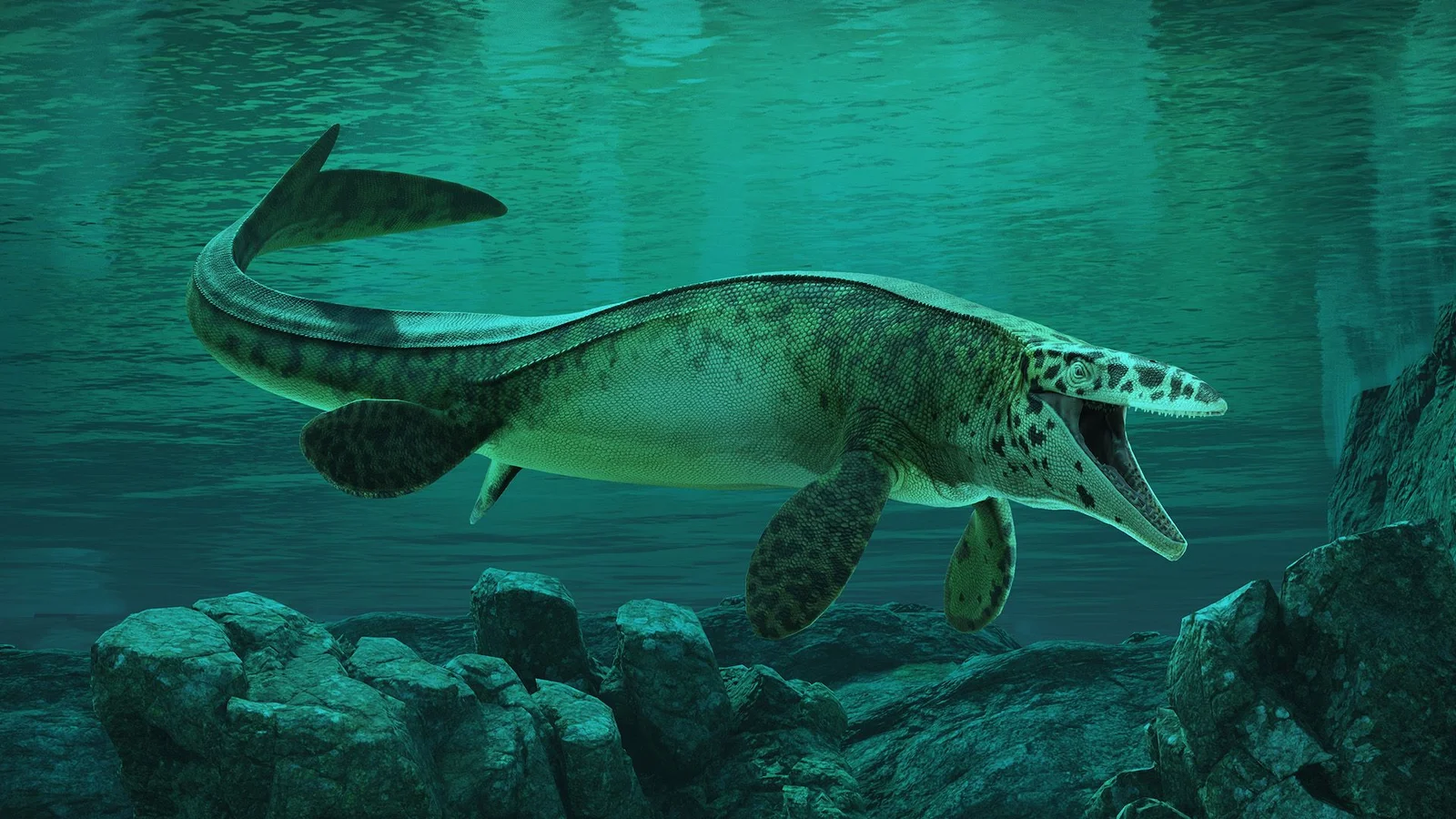 New Sea Tyrant: Meet Tylosaurus rex, a 43-foot Mosasaur