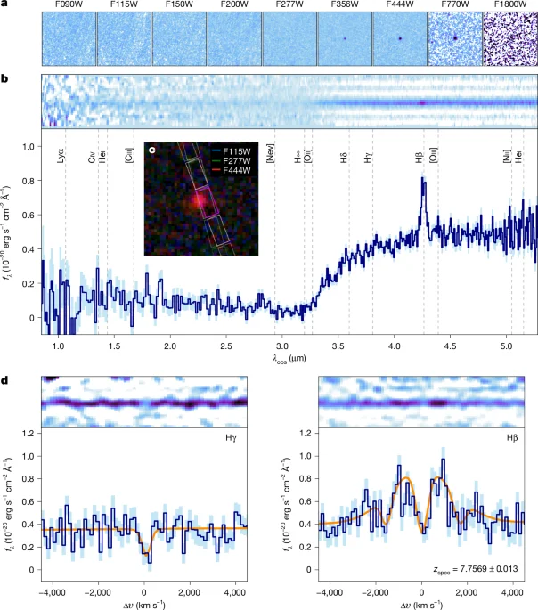 Gas-drenched black hole at cosmic dawn hints at rapid early growth