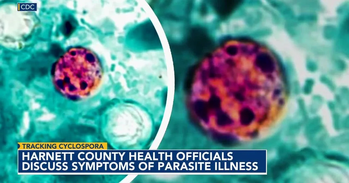 Wake County Cyclospora Surge: 270 Cases as Lettuce-Linked Outbreak Expands