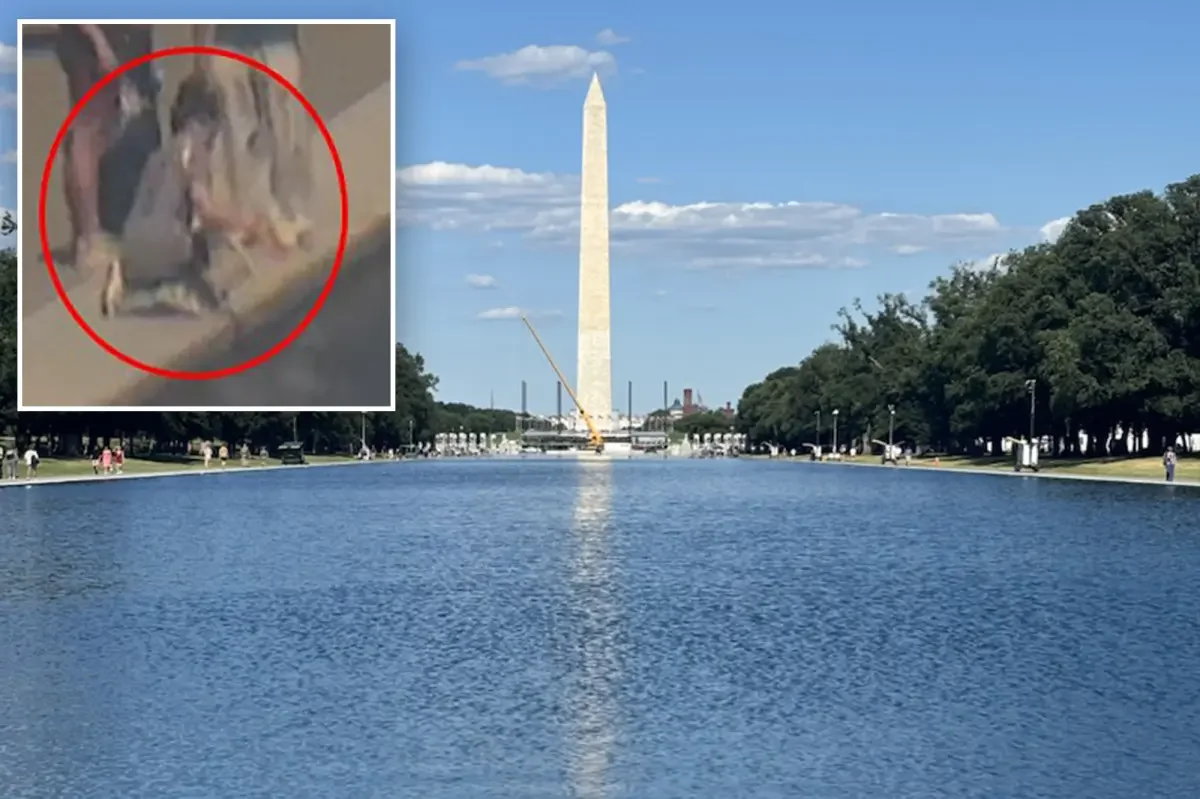 Trump touts crystal-clear Lincoln Reflecting Pool, urges tip on vandalism suspect