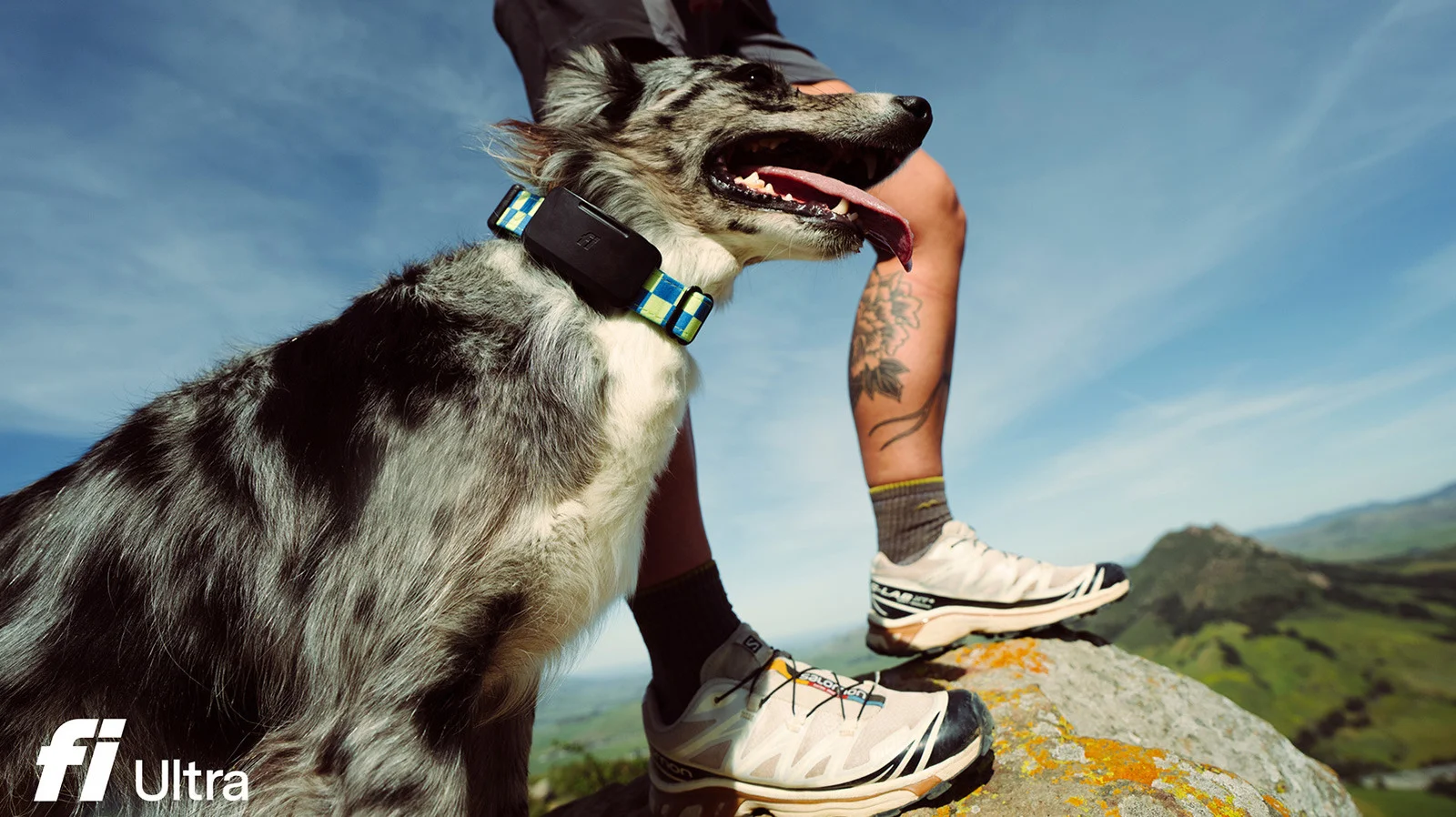 Fi Ultra Tracker Extends Dog Tracking to Starlink Satellite Coverage