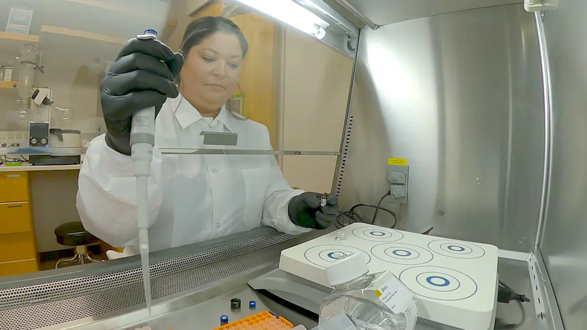 Northwest researchers move toward fentanyl vaccine to prevent overdoses and aid recovery