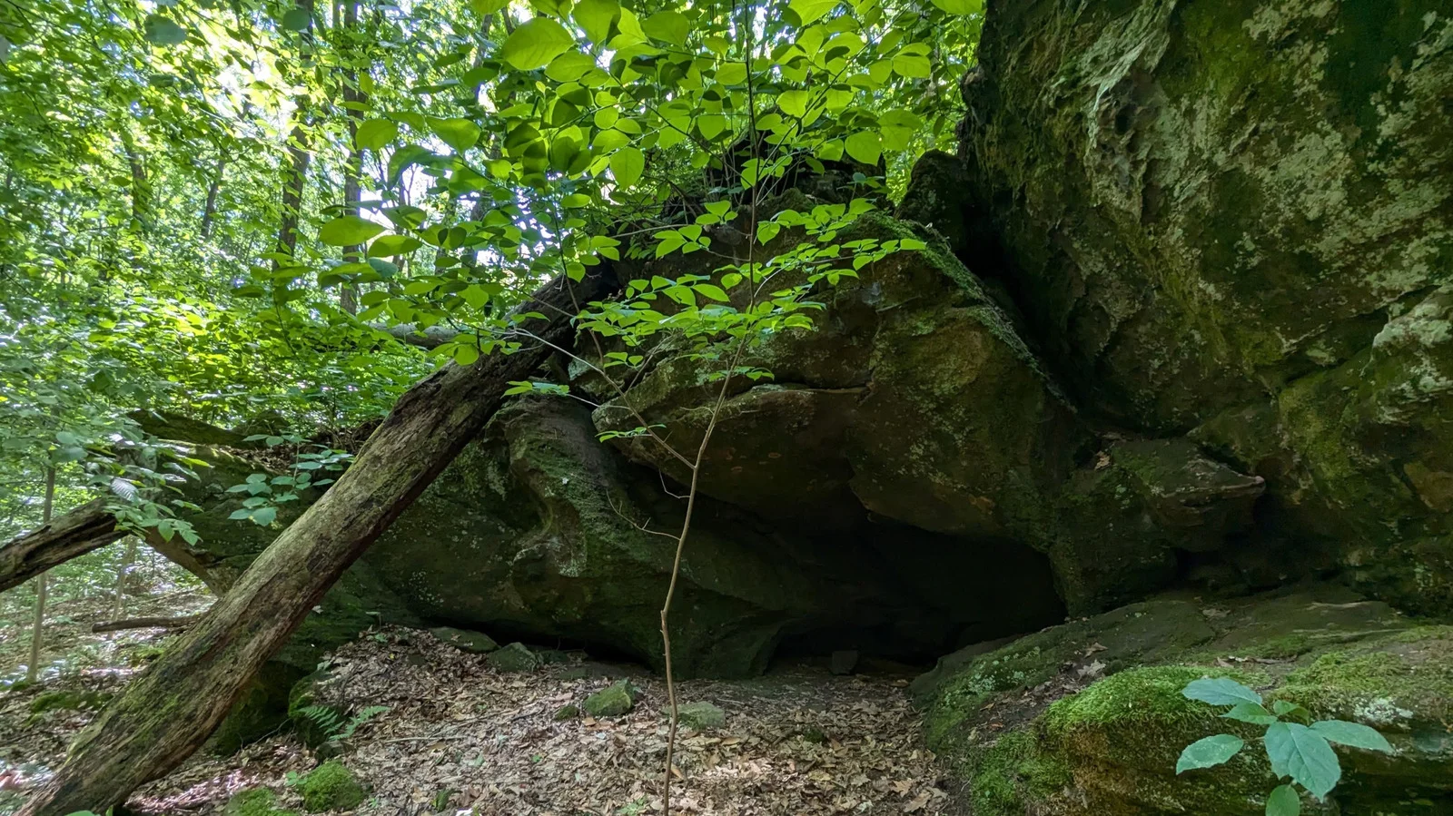 Waterfalls and Quiet Hills: Canyon Forest Nature Preserve Between Indy and Evansville