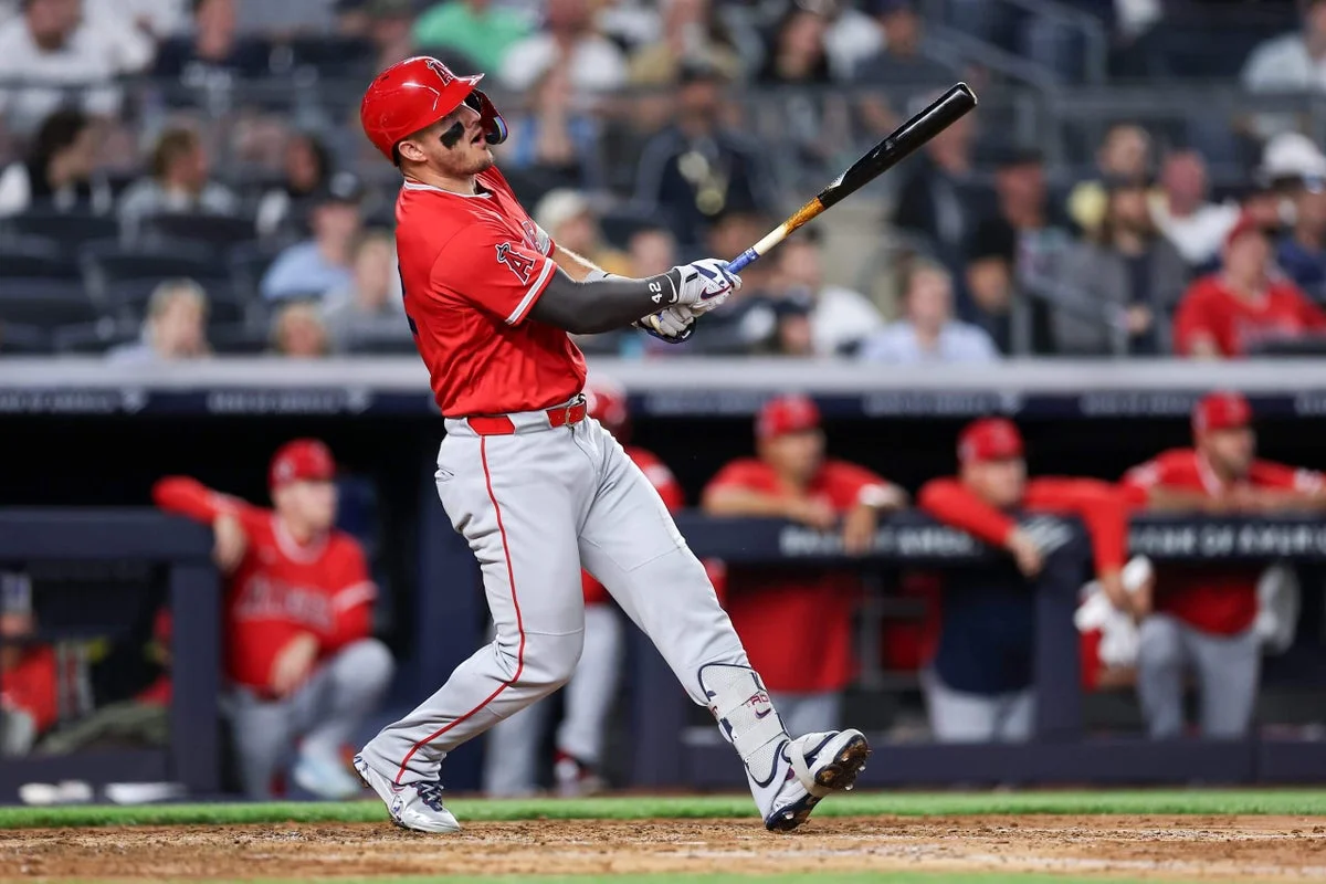 Trout Resurgence Lights Up the Bronx