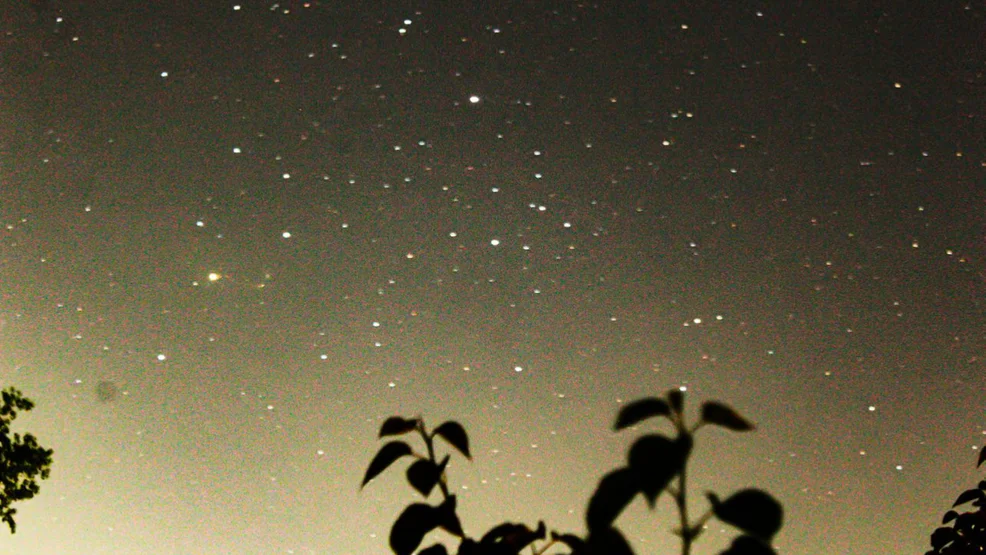 "Michigan Braces for Spectacular Perseid Meteor Shower: 100 Meteors per Hour!"