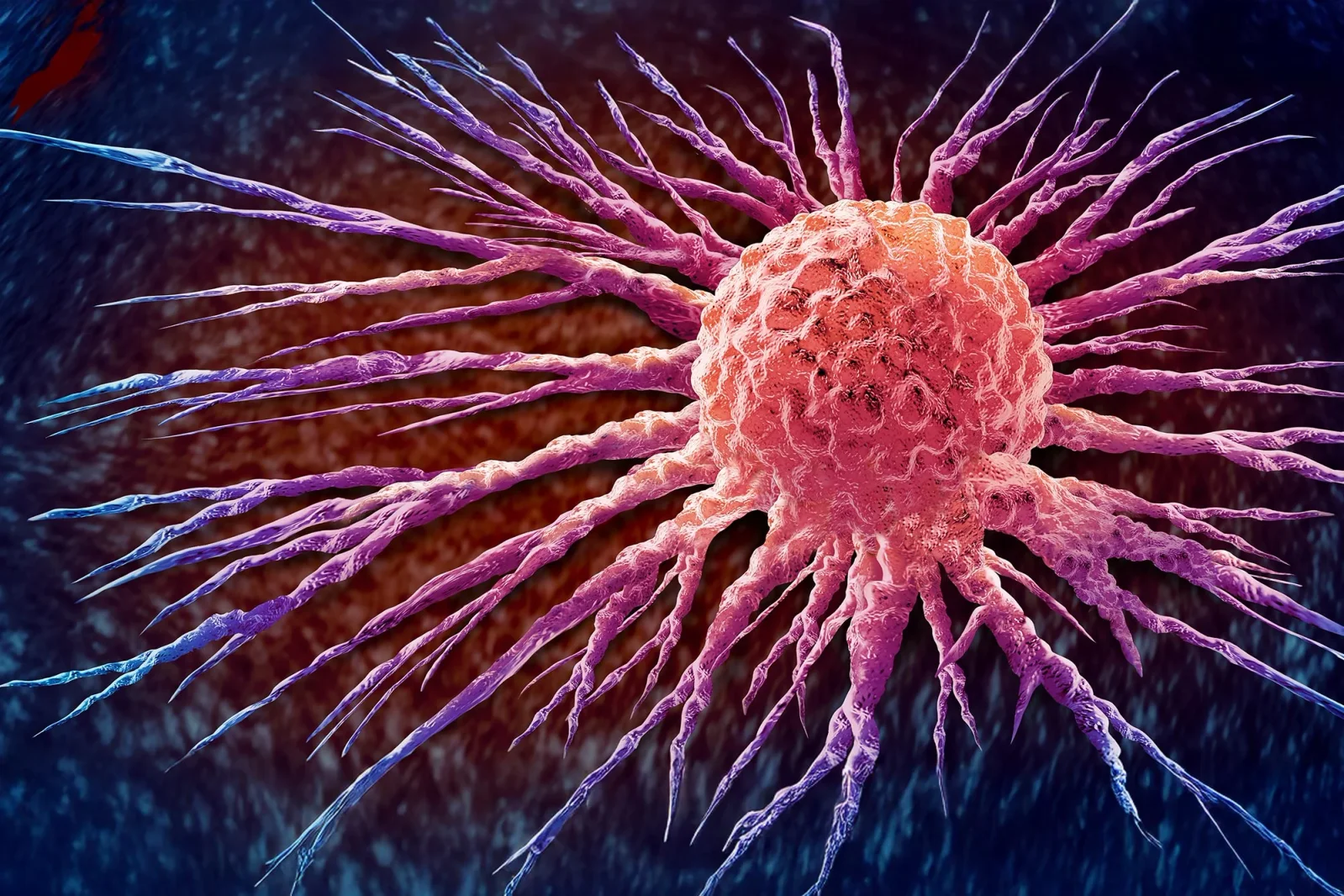 Bacteria-Inspired Peptide Disrupts Cancer Energy, Enhances Radiation Therapy