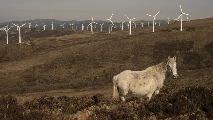 Geopolitics Drive a New Wave of Investment into Clean Energy