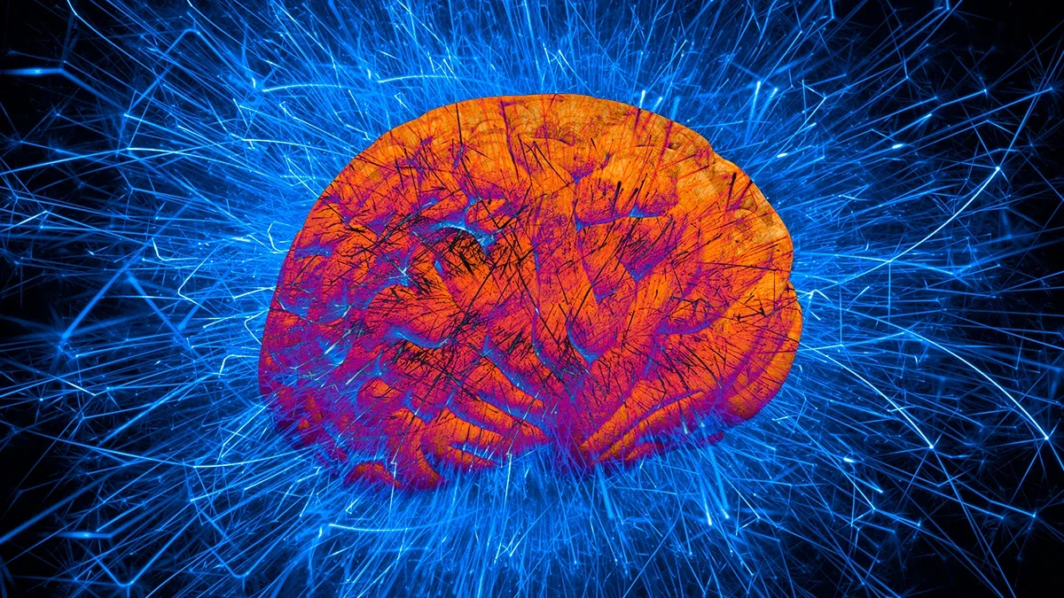Anesthetized Brain Still Listens: Hidden Language Processing in the Hippocampus