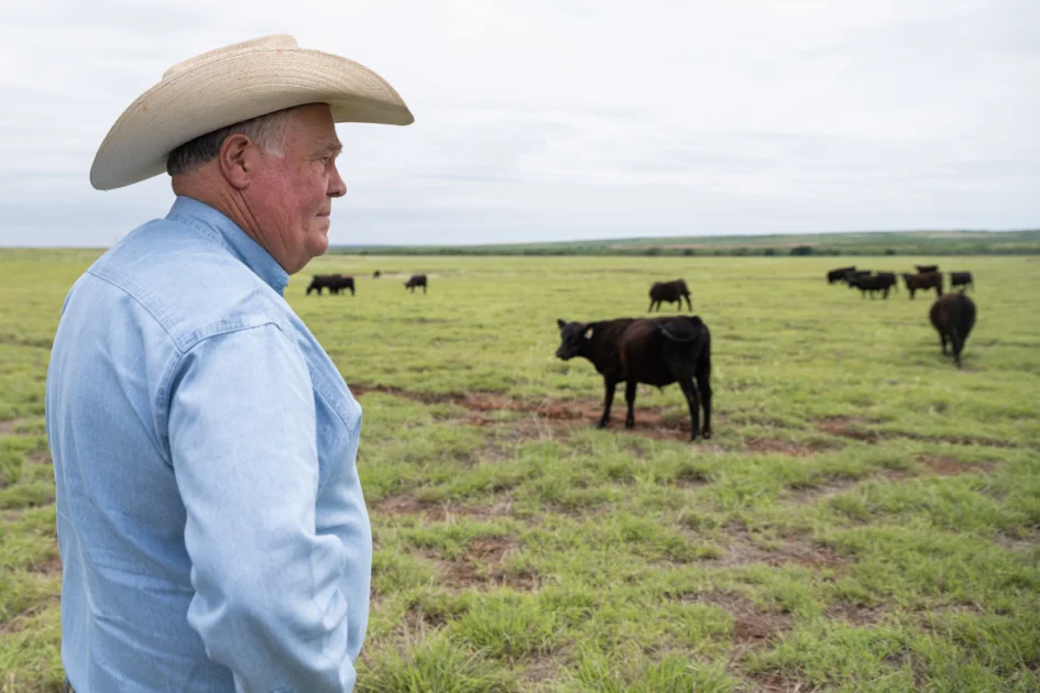 Texas beef profits squeezed as screwworm returns and costs soar