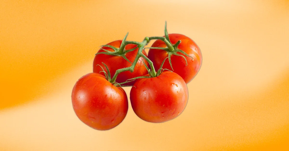 FDA Alerts to Deadly Salmonella Risk in Recalled Tomatoes in 3 States