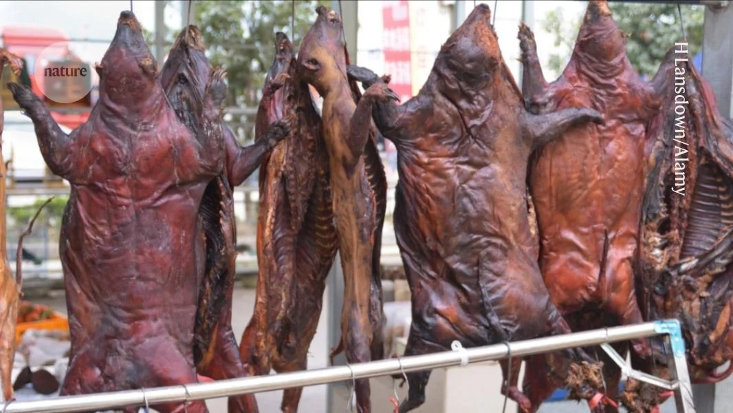 Wildlife trade linked to human-pathogen sharing across mammals