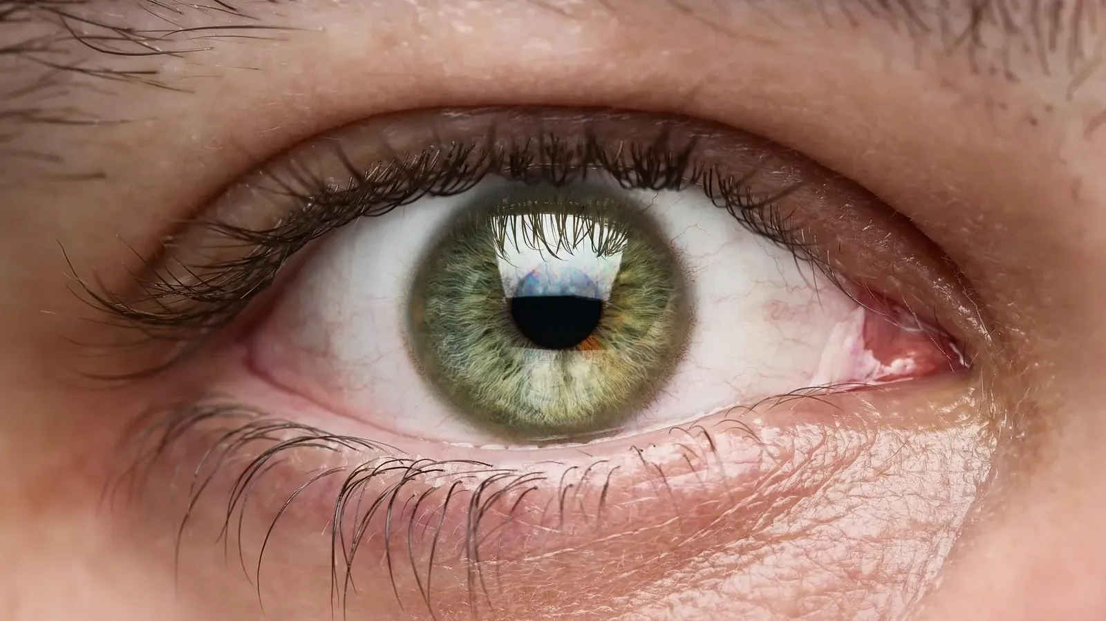 Why Green Eyes Are So Rare: An Evolutionary Perspective