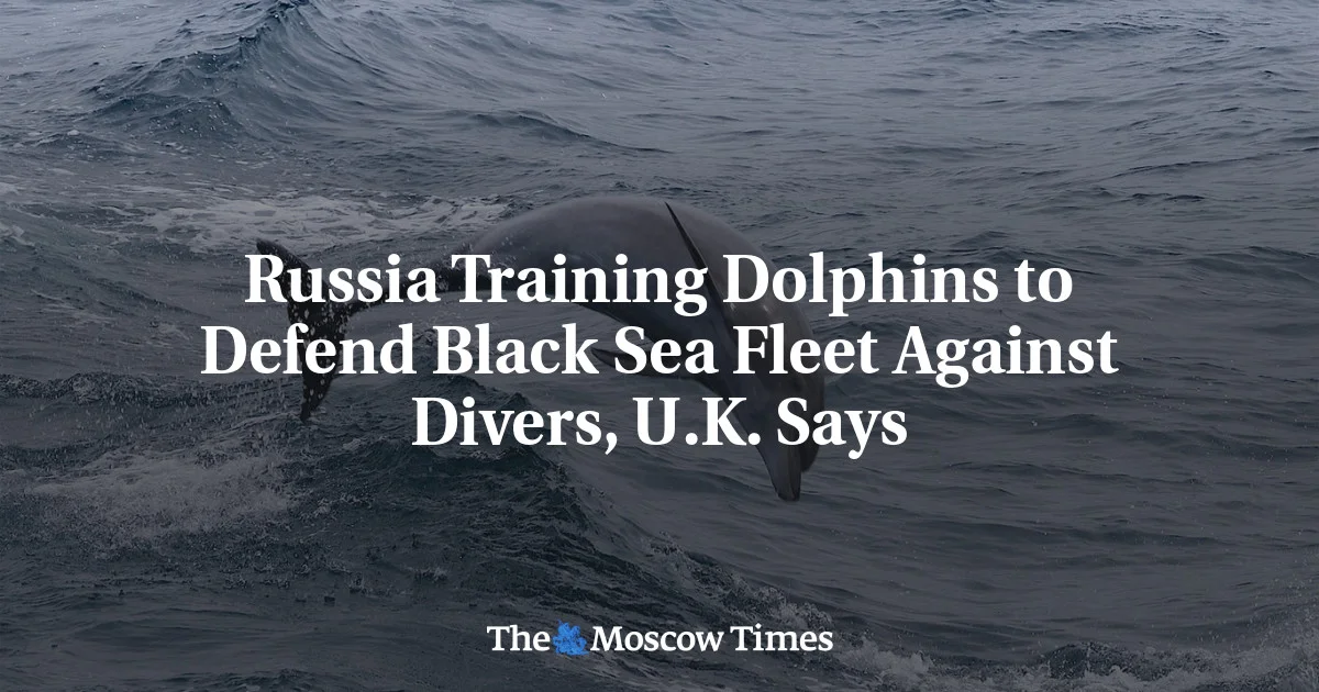 Russia Trains Combat Dolphins to Protect Black Sea Fleet in Crimea