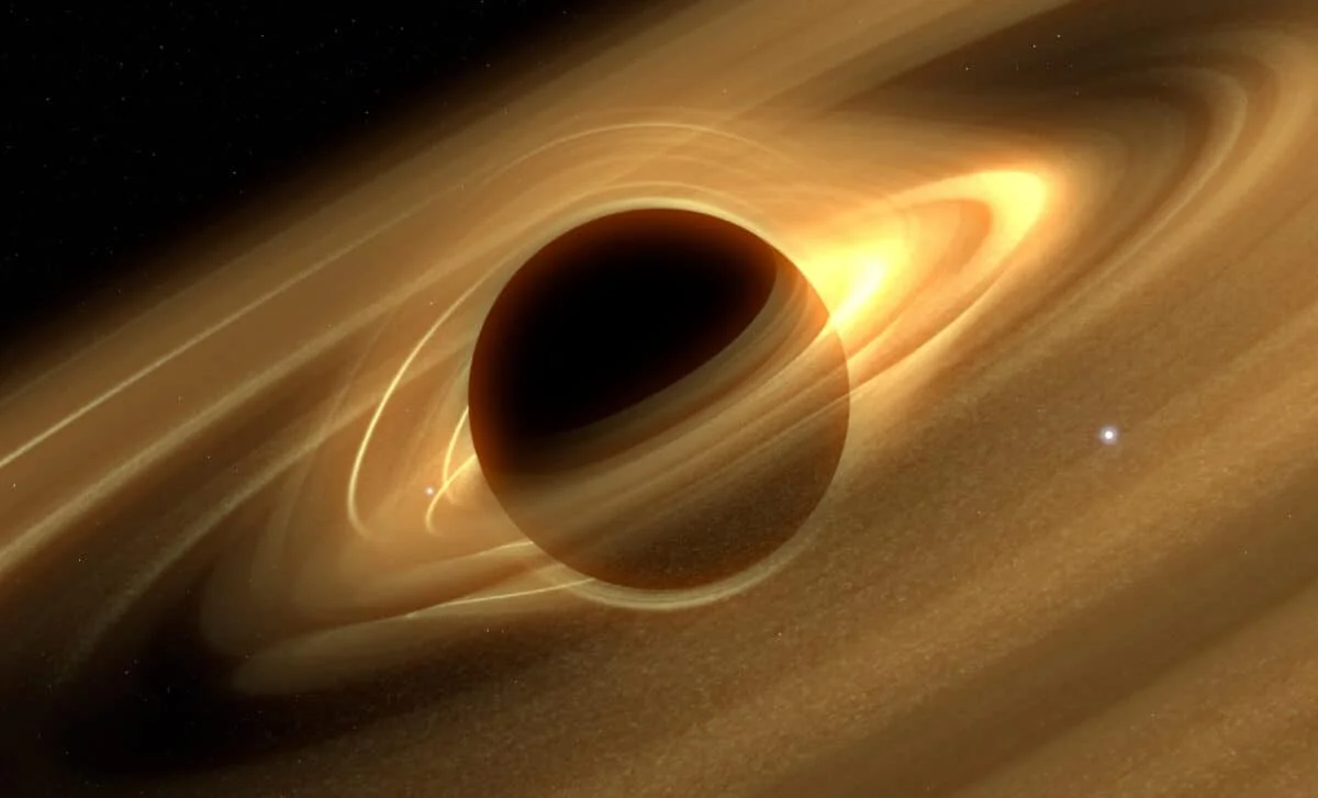 Black Holes May Carry Fermionic Hair, Defying Zero Tidal Response