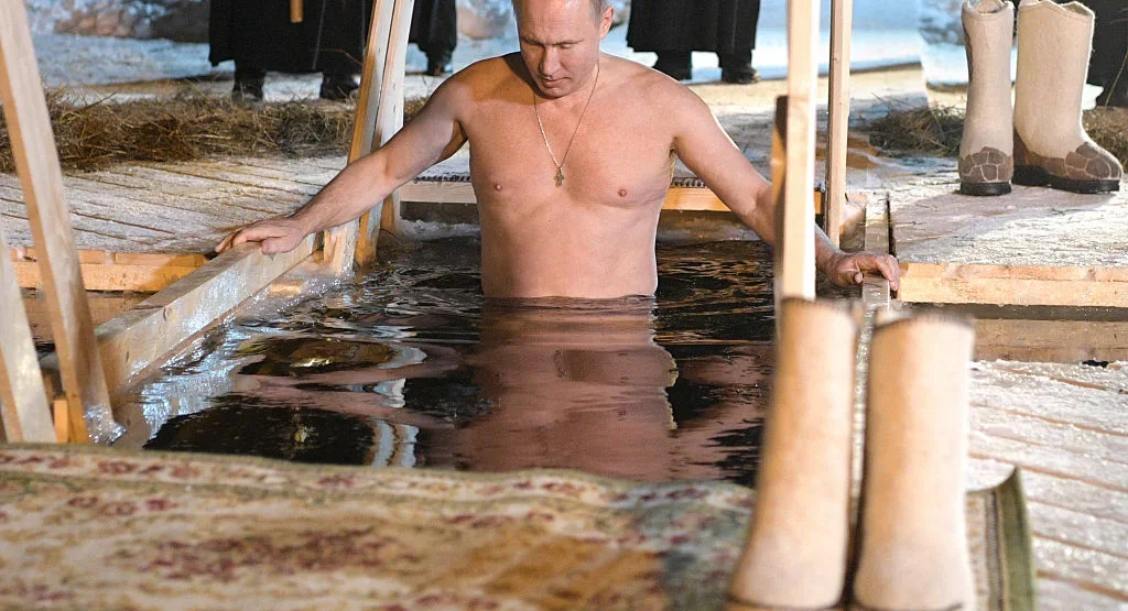 Putin Linked to Project to Grow Human Organs in Mini-Pigs