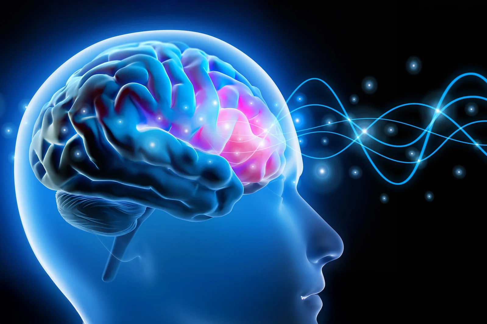 Engineered Neural Bridges Could Rewire Damaged Brain Circuits