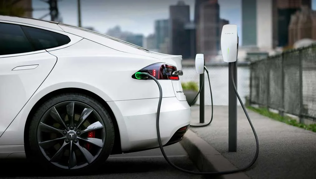 Tesla and Tech Stocks Lead Market Rally to End Week