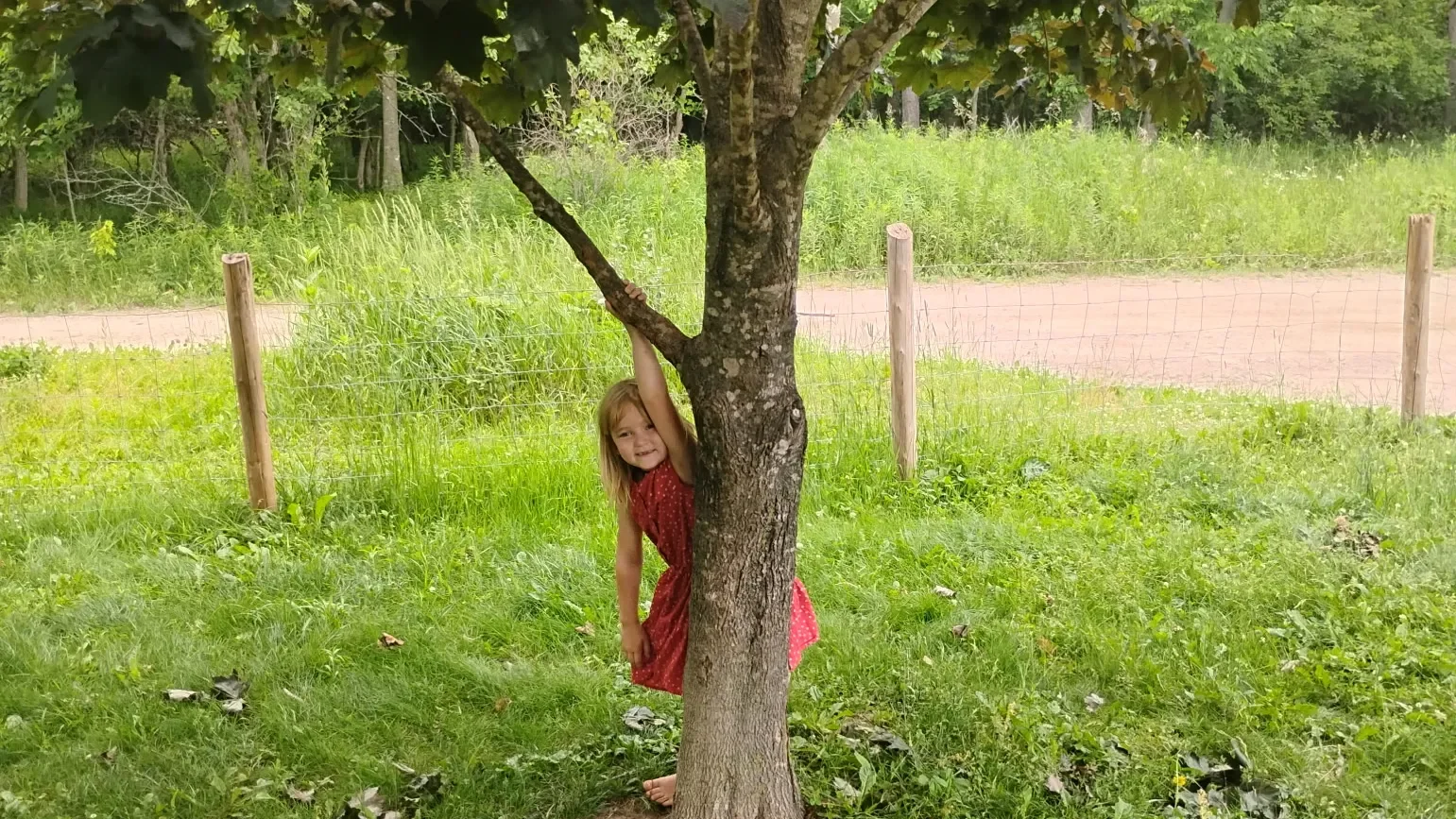 Wisconsin 6-year-old Begins Rabies Treatment After Bat Bite; Officials Urge Rabies Precautions