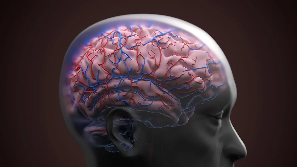 GDF15 in Blood May Signal Dementia Risk From Midlife