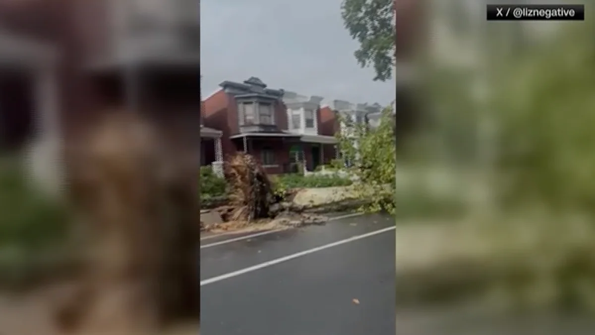 Severe Storm Slams Philadelphia, Downed Trees and Widespread Damage