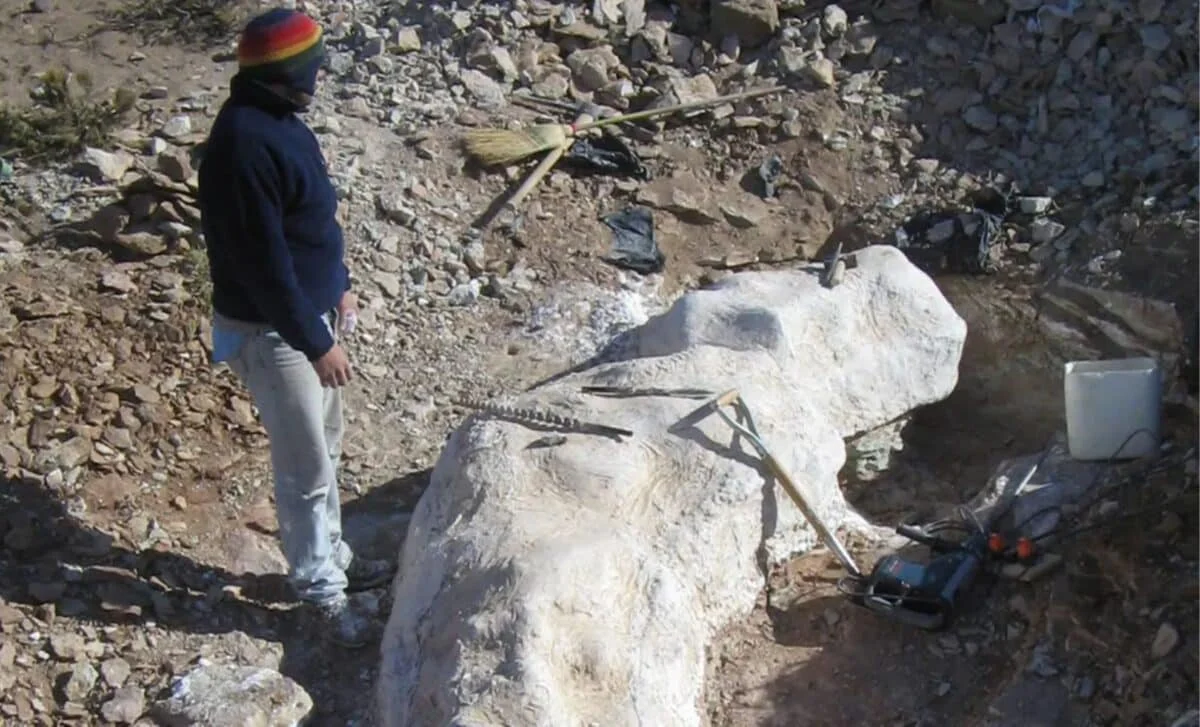 Patagonia Discovery: 20-Meter Sauropod Upends South American Dinosaur Lineages