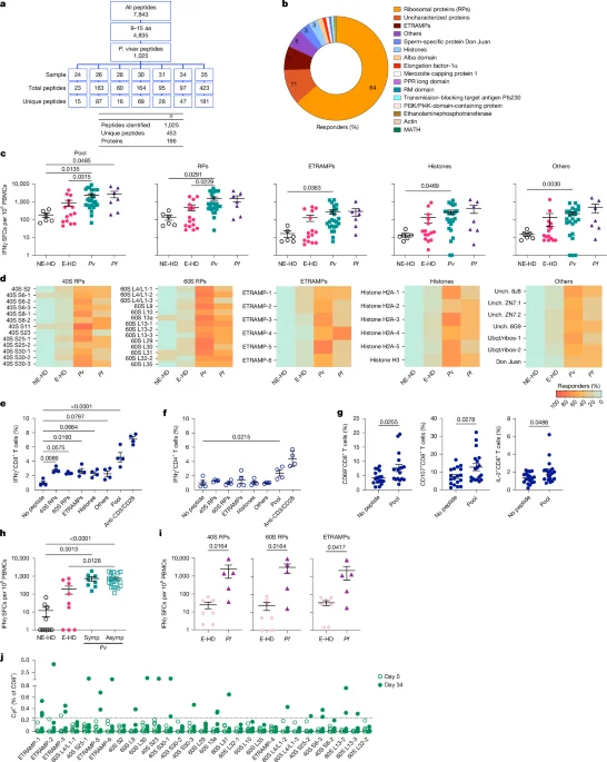 New Malaria CD8+ T Cell Targets Offer Cross-Species Vaccine Potential