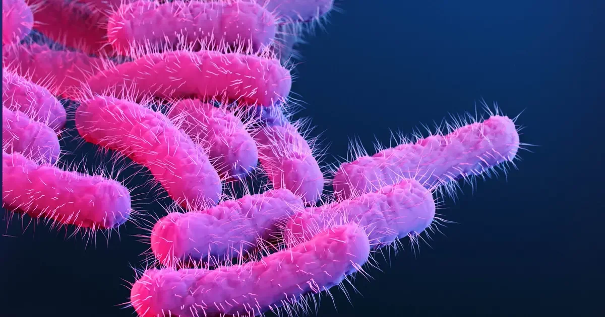 U.S. Faces Growing Threat from Drug-Resistant Shigella, CDC Warns