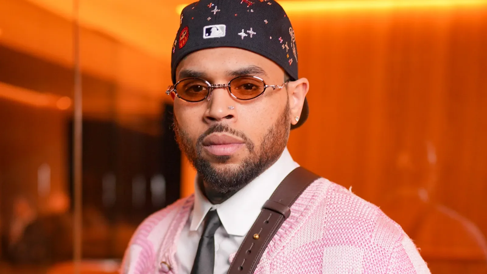 Chris Brown Hit With $13 Million Damages for LA Dog Mauling