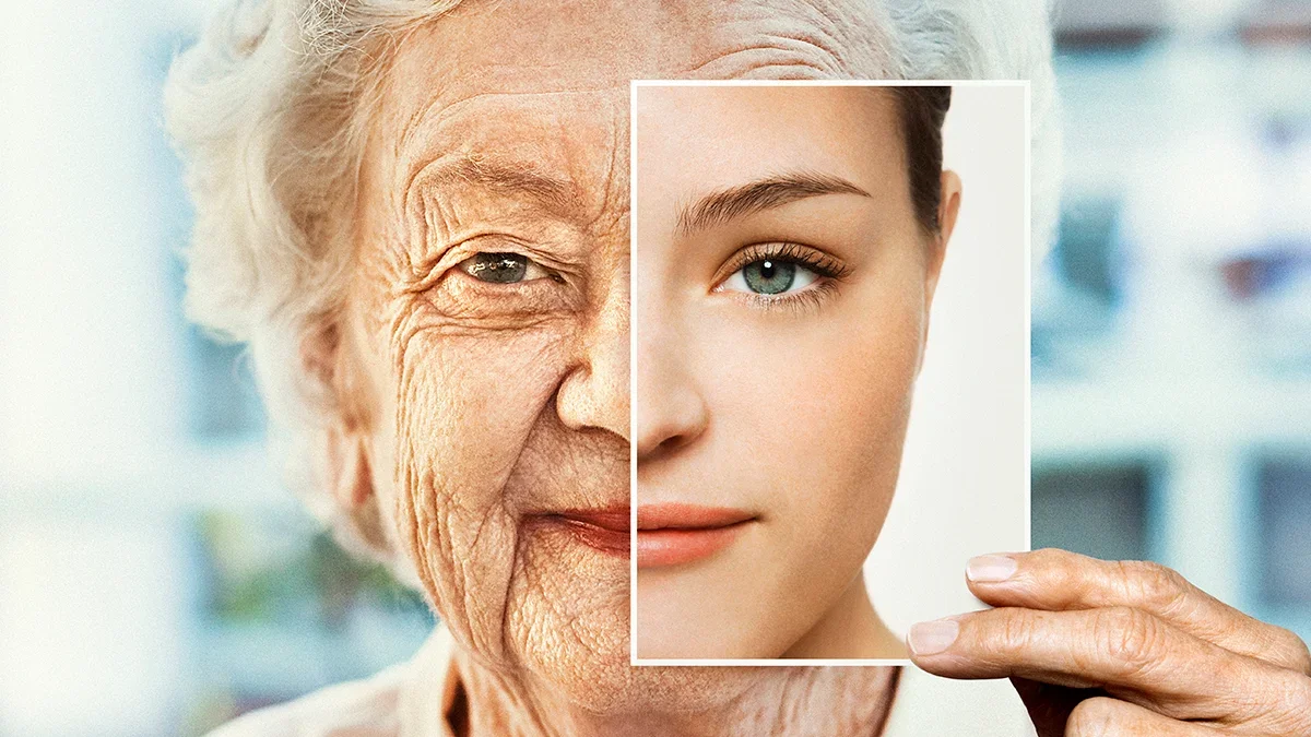 Blocking EP2 Receptor Rejuvenates Aging Mice by Restoring Immune Cleanup
